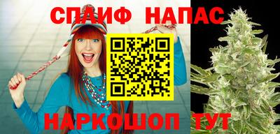 apvp Обнинск