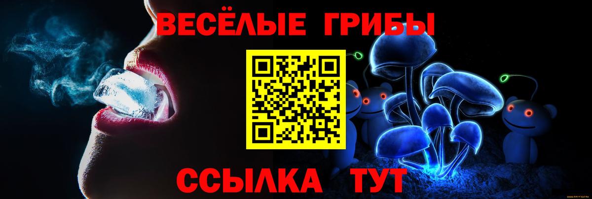 Псилоцибиновые грибы Cubensis  Вход с VPN  Стрежевой 